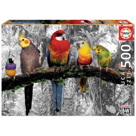 Puzzle Educa Birds na selva de 500 peças - Puzzles Educa