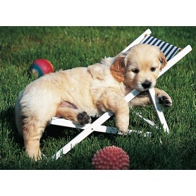 Puzzle Ravensburger filhote de golden retriever de 500 peças Ravensburger - 1