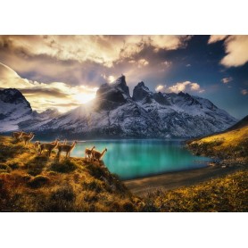 Puzzle Heye Guanacos 1000 Peças Heye - 2