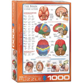 Puzzle Eurographics O Cérebro de 1000 Peças Eurographics - 1