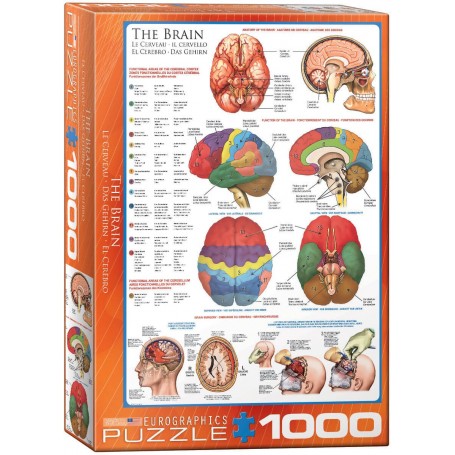 Puzzle Eurographics O Cérebro de 1000 Peças - Eurographics