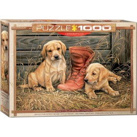 Puzzle Eurographics algo antigo algo novo 1000 peças Eurographics - 1