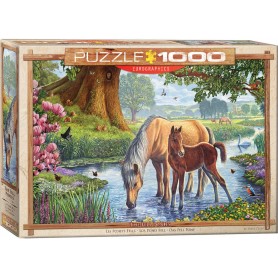 Puzzle Eurographics The Colts foi reduzido em Steve Crispy 1000 Pieces Eurographics - 1