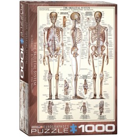 Puzzle Eurographics O Sistema Ósseo de 1000 Peças Eurographics - 1