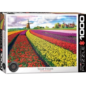 campo de tulipas Puzzle Eurographics, Holland 1000 Peças Eurographics - 1