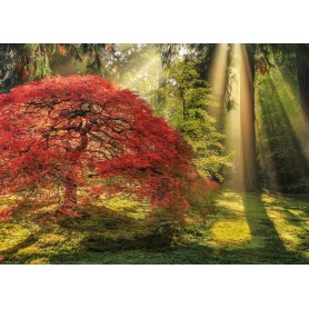 Puzzle Heye luz guia de 1000 peças Heye - 1