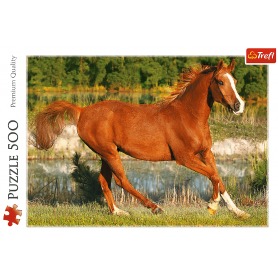 Puzzle Trefl A Beleza do Galope de 500 Peças Puzzles Trefl - 1