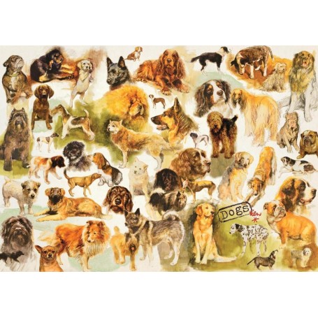 Puzzle Jumbo pôster de cachorro de 1000 peças - Jumbo