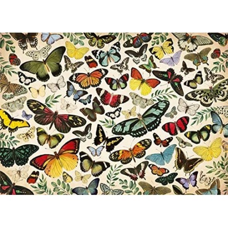 Puzzle Jumbo pôster de borboleta de 1000 peças - Jumbo