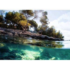 Puzzle Ravensburger vistas de 1000 peças Ravensburger - 1