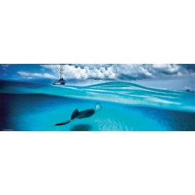 Puzzle Heye Stingray Panoramico 1000 Peças Heye - 1