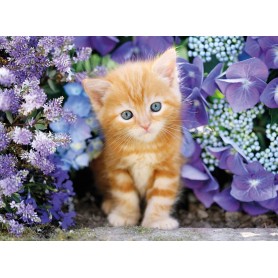 Puzzle Clementoni gatinho loiro de 500 peças Clementoni - 1