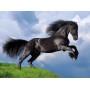Puzzle Clementoni cavalo preto frísio de 500 peças - Clementoni