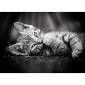 Puzzle Clementoni gatinho de 1000 peças Clementoni - 1
