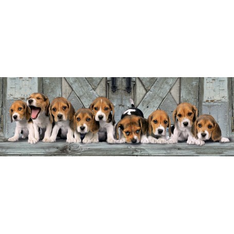 Puzzle Clementoni Panoramico Beagles 1000 Peças - Clementoni
