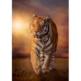 Puzzle Clementoni tigre de 1500 peças ao pôr do sol Clementoni - 1