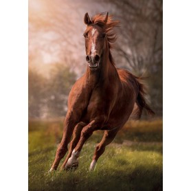 cavalo Puzzle Clementoni para a corrida de 1500 peças Clementoni - 1