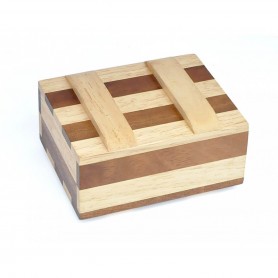 zebra Caixa Secreta - Logica Giochi