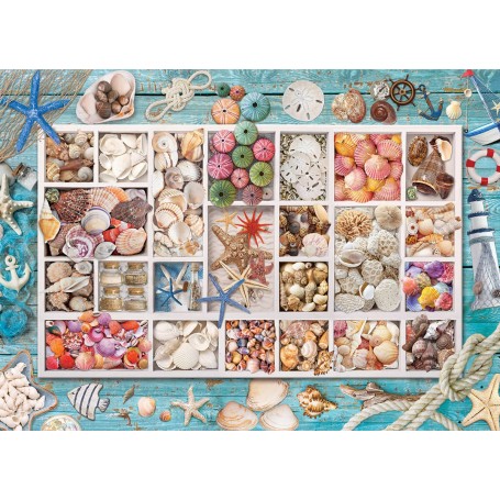 coleção Shell de 1000 peças Puzzle Eurographics - Eurographics
