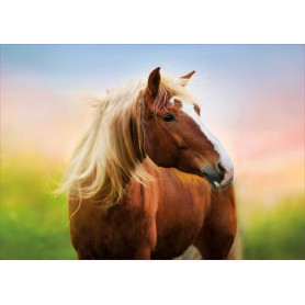 Puzzle Educa cavalo de 500 peças ao amanhecer Puzzles Educa - 1