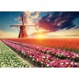 Puzzle Educa paisagem de tulipas de 1500 peças Puzzles Educa - 1
