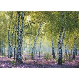 Puzzle Ravensburger Floresta de Bétula 1000 Peças Ravensburger - 1