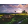 Puzzle Ravensburger Campos de Arroz em Bali de 500 Peças Ravensburger - 1