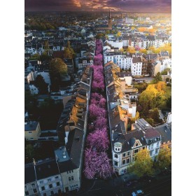 Puzzle Ravensburger Cidade florida de Bona 1500 Peças Ravensburger - 1
