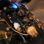 Escaravelho do veado Robotime Robotime - 5