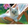 Puzzle Ravensburger Gatinho Branco XXL de 200 Peças Ravensburger - 2