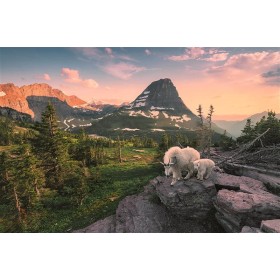 Puzzle Ravensburger Cabra e Cabrito de 3000 Peças Ravensburger - 1