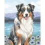 Set de Pintura por Números Ravensburger CreArt Pastor-australiano Ravensburger - 2