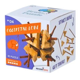 Brain Puzzle Nº 04: Lóbulo Occipital - Quebra-cabeças de Engenho Recent Toys Recent Toys - 1