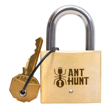 Ant Hunt: Caça às Formigas - Cadeado Puzzle de raciocínio PuzzLocks PuzzLocks - 1