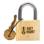 Ant Hunt: Caça às Formigas - Cadeado Puzzle de raciocínio PuzzLocks PuzzLocks - 1