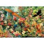 Puzzle Educa Aves do Amazonas de 2000 Peças Puzzles Educa - 1