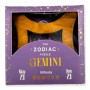The Zodiac Puzzle - Gémeos