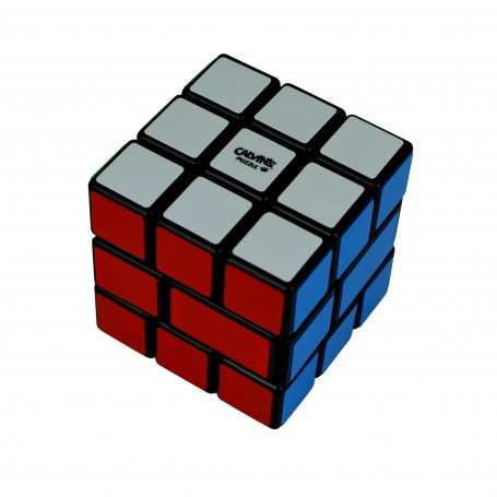 Calvin's Windmill Wall Cube II - Puzzle Calvins
