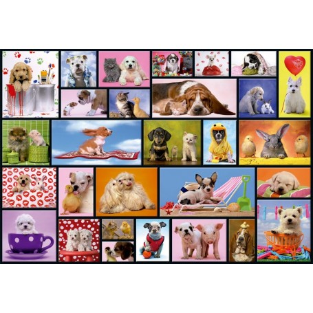 Puzzle Educa Shared Moments 1000 peças - Educa Puzzles