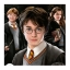 Puzzles Harry Potter 1000 peças